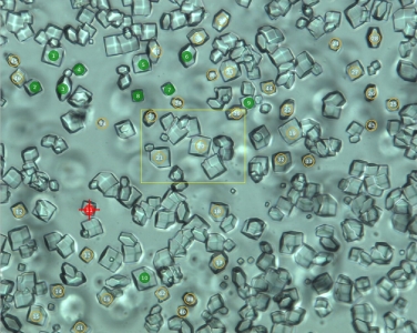 DiffraX Plates In Situ